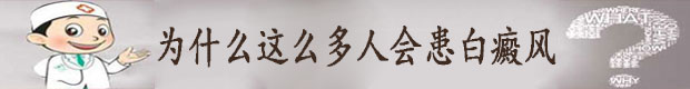 在线咨询